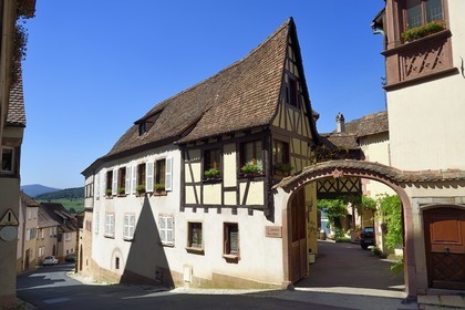 France, Bas Rhin, the Alsace Wine Route, Mittelbergheim, labelized the Most Beautiful Villages of France, le Domaine viticol Boeckel rue de la Montagne