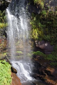 France, Cantal, Parc Naturel Régional des Volcans d'Auvergne (regional nature park of Auvergne volcanoes), Brezons valley, hamlet of Sanissage, the Saut de la Truite (trout jump) waterfall