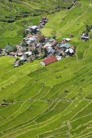 Philippines, Ifugao province, Banaue rice terraces around the village of Batad, listed as World Heritage by UNESCO