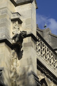 France, Manche, Cherbourg, Basilica of the Trinity, gargoyle