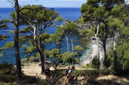 France, Var (83), Six-Fours-les-Plages, randonnée dans le massif du Cap Sicié, plage du Mont Salva vers Le Brusc