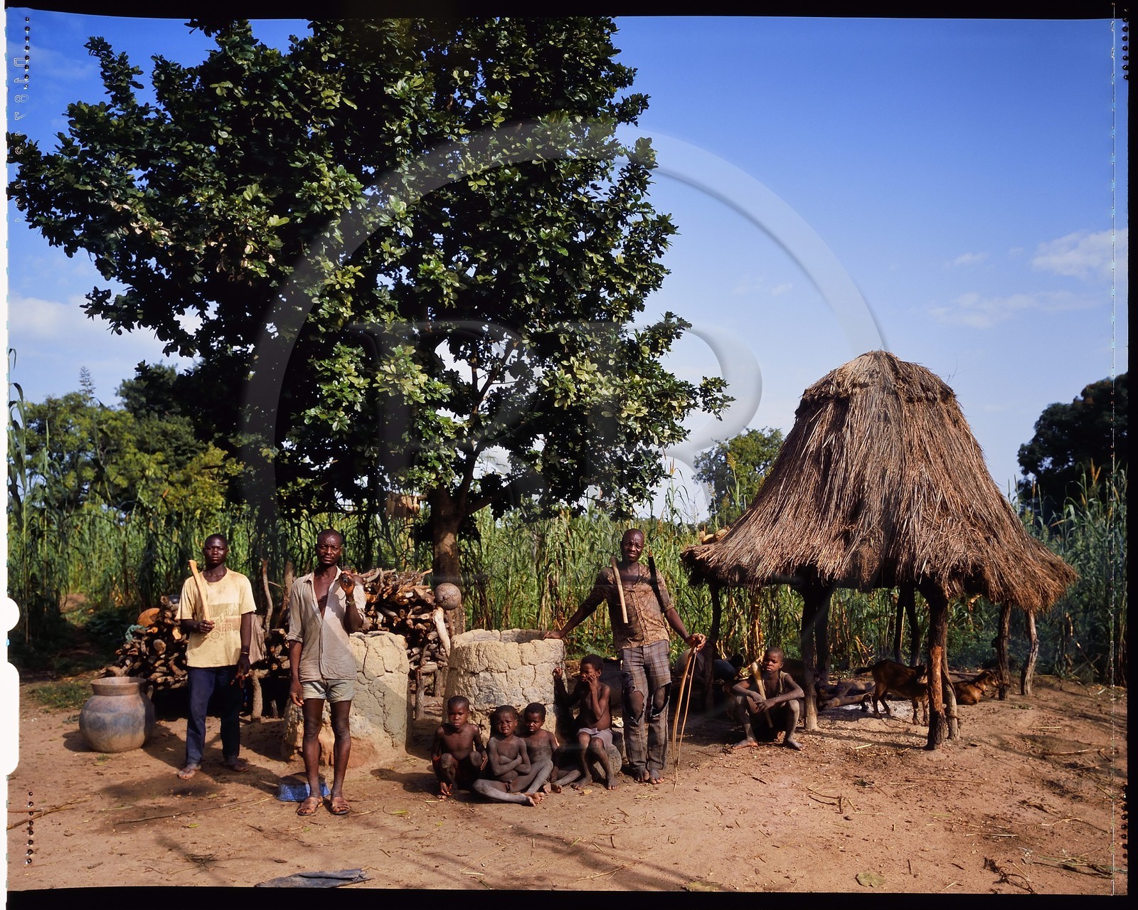 Burkina Faso, province de Poni, pays des Lobi, Loropéni, paysans posant avec arc et flèches dans la cour de ferme