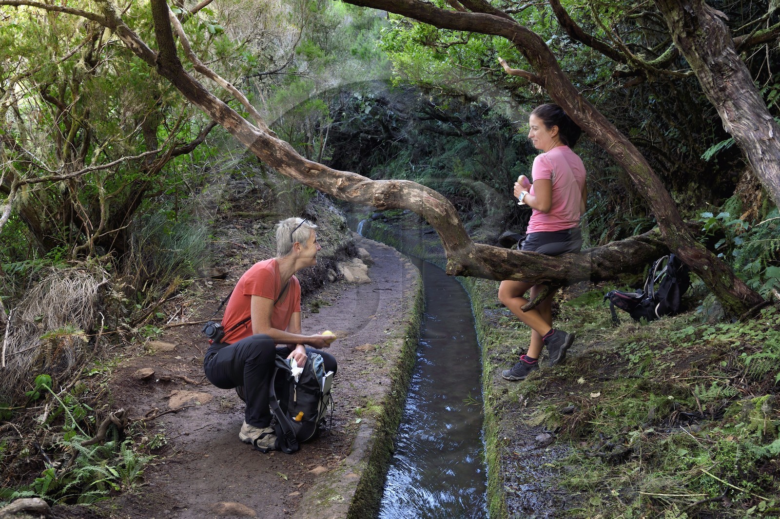 Portugal, Ile de Madère, randonnée dans La forêt de Rabaçal par la levada do Alecrim, un de ces innombrables canaux d'irrigation qui guident l’eau des hauts plateaux jusqu’aux terrasses cultivées du sud, pause pique-nique