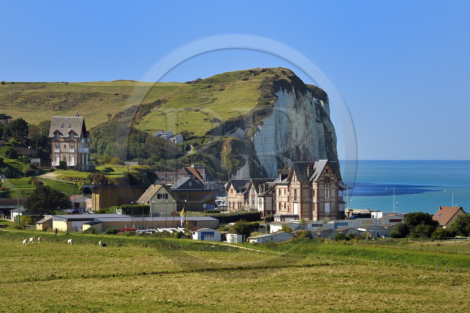 France, Seine-Maritime (76), Côte d'Albatre, Pays de Caux, Veulettes-sur-Mer sous la falaise dite butte du Catelier