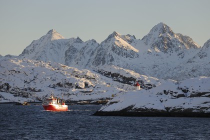 Norvège, Nordland, Iles Lofoten, le port de Svolvaer, retour d'un bateau de pêche