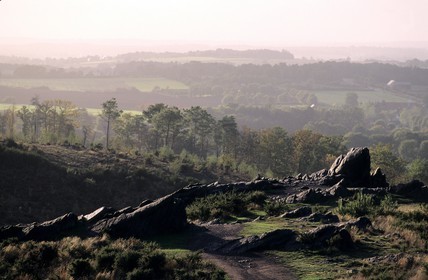 France, Ille et Vilaine, Broceliande forest, the Val sans Retour