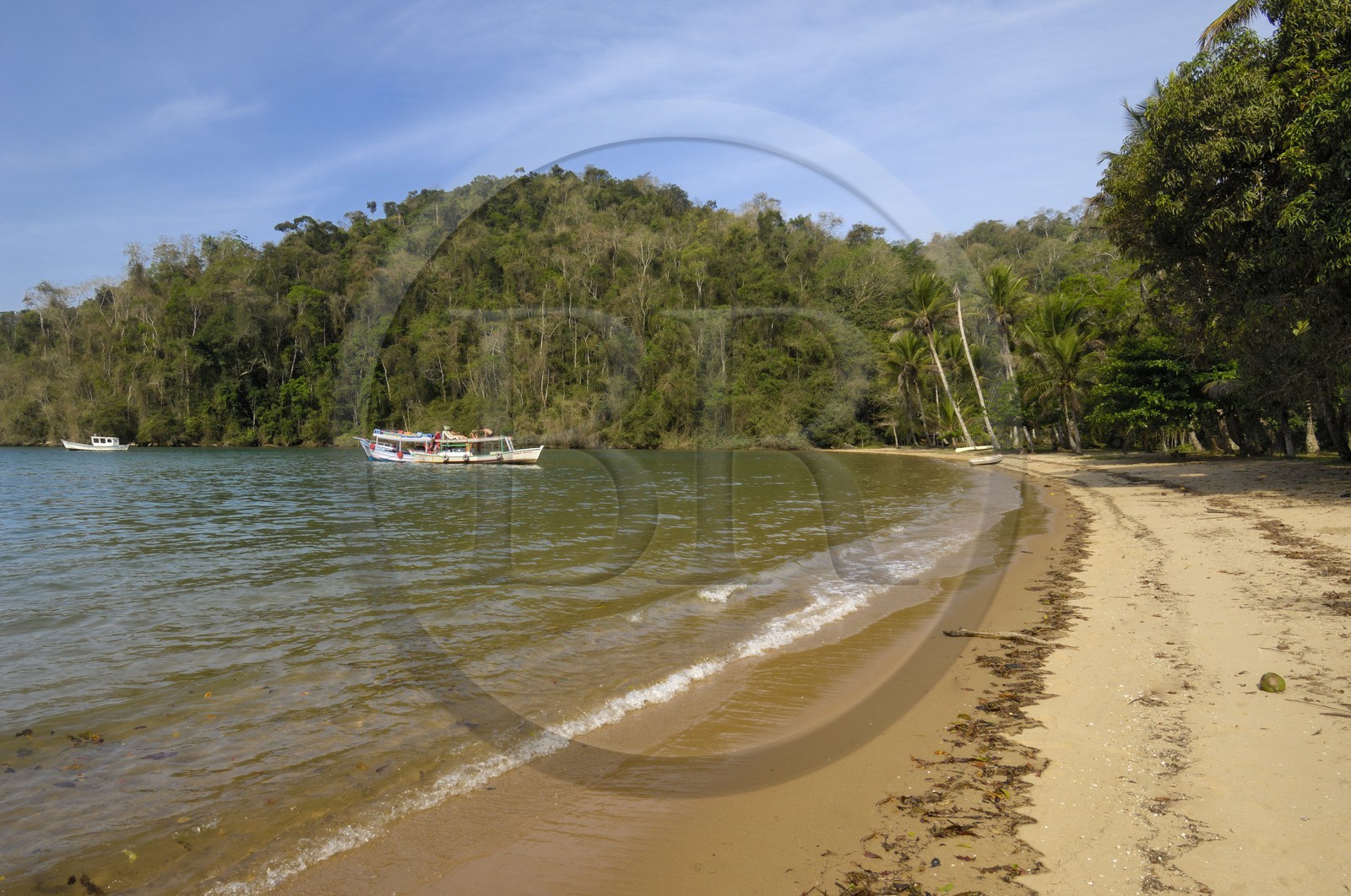 Brésil, Etat de Rio de Janeiro, plage dans la baie de Paraty