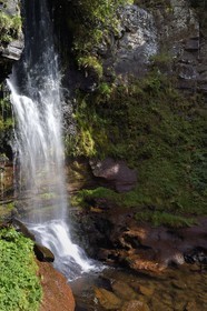France, Cantal, Parc Naturel Régional des Volcans d'Auvergne (regional nature park of Auvergne volcanoes), Brezons valley, hamlet of Sanissage, the Saut de la Truite (trout jump) waterfall