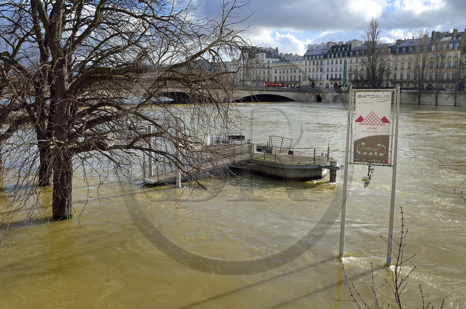 France, Paris (75), les rives de la Seine, classées Patrimoine Mondial de l'UNESCO, la crue de la Seine de janvier 2018, l'arrêt du Batobus du quai du Louvre, en arrière plan le pont du Carrousel