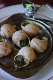 France, Côte d'Or (21), Dijon, escargots de Bourgogne