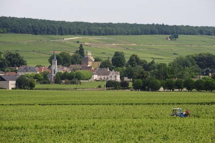 France, Côte d'Or (21), le village d'Aloxe-Corton au milieu de ses vignes
