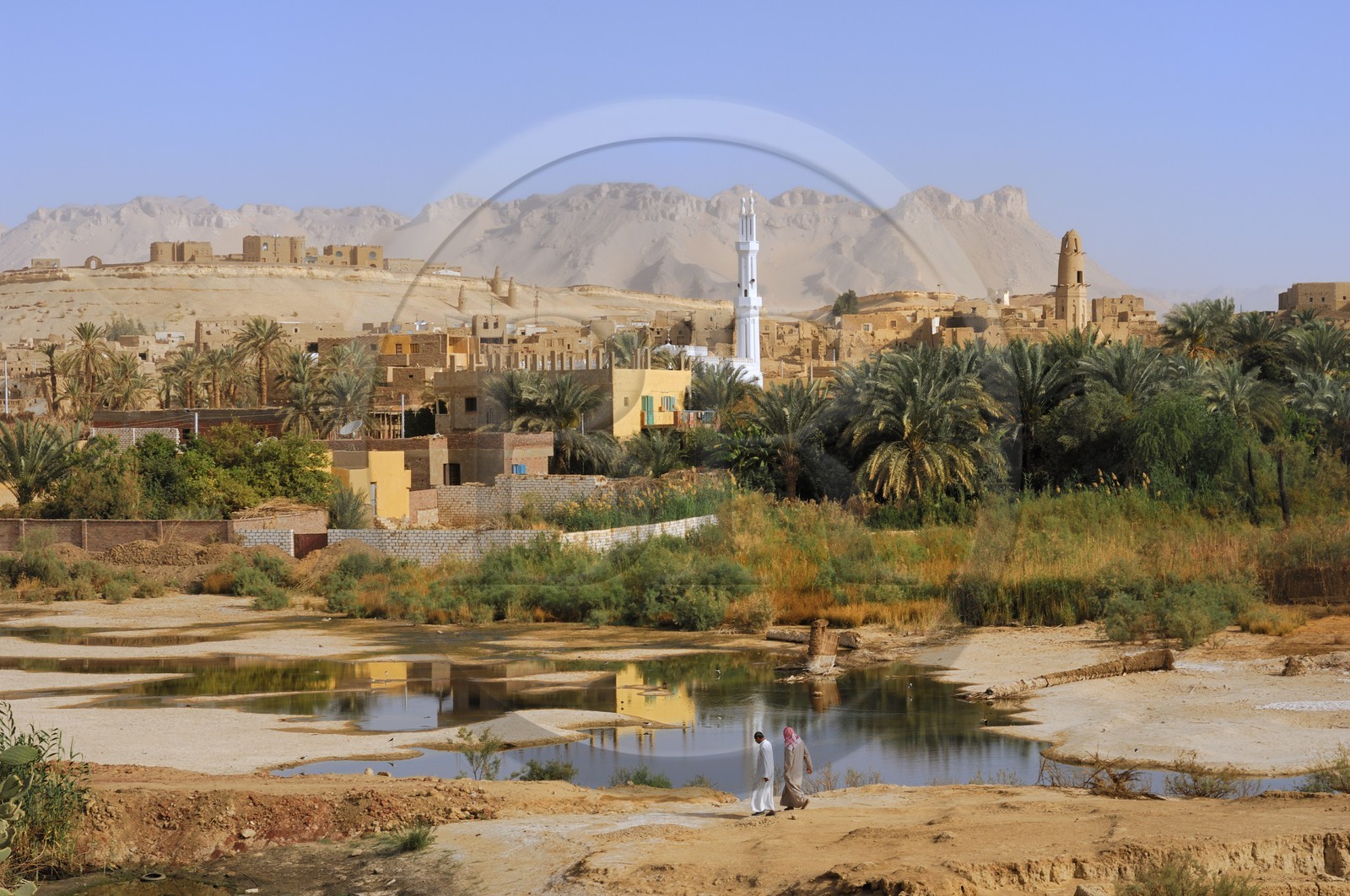 Egypte, Haute Egypte, désert libyque, oasis de Dakhla, vieux village de Al-Qasr