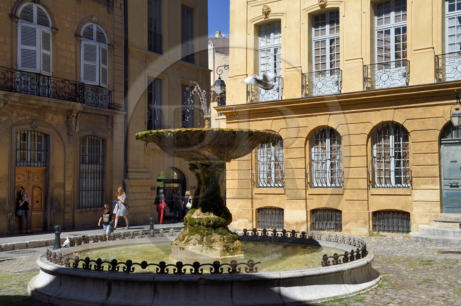 France, Bouches-du-Rhône (13), Aix en Provence, fontaine de la place Albertas