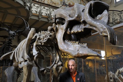 France, Paris (75), Jardin des Plantes, Museum National d'Histoire Naturelle, Galeries de Paléontologie et d'Anatomie comparée