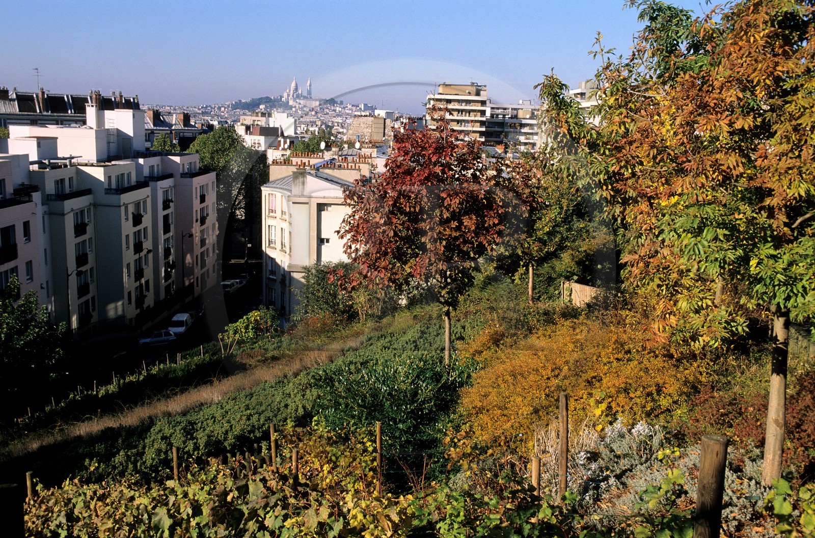 France, Paris (75), jardin du quartier de la rue Lardennois (Buttes Chaumont) avec vue sur le Sacré-Coeur