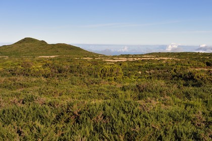 Portugal, Ile de Madère, le plateau de Paul da Serra au centre de l'ile