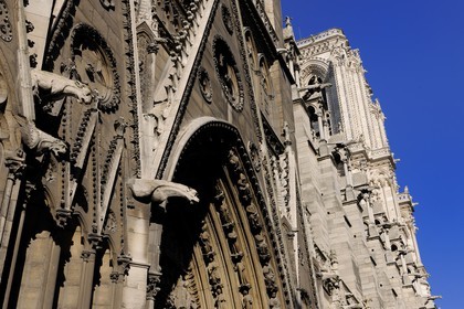 France, Paris (75), Ile de la Cité, cathédrale Notre-Dame de Paris, gargouilles de la façade nord