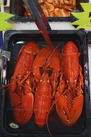 Suède, Västra Götaland, Göteborg (Gothenburg), l'Eglise du poisson (marché de poisson couvert) Feskekörka, homards