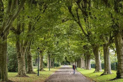 France, Yonne (89), Auxerre, allée couverte du parc de l'Arbre Sec
