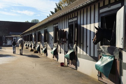 France, Calvados, Pays d'Auge, Deauville, Racecourse of Deauville-La Touques, the stables