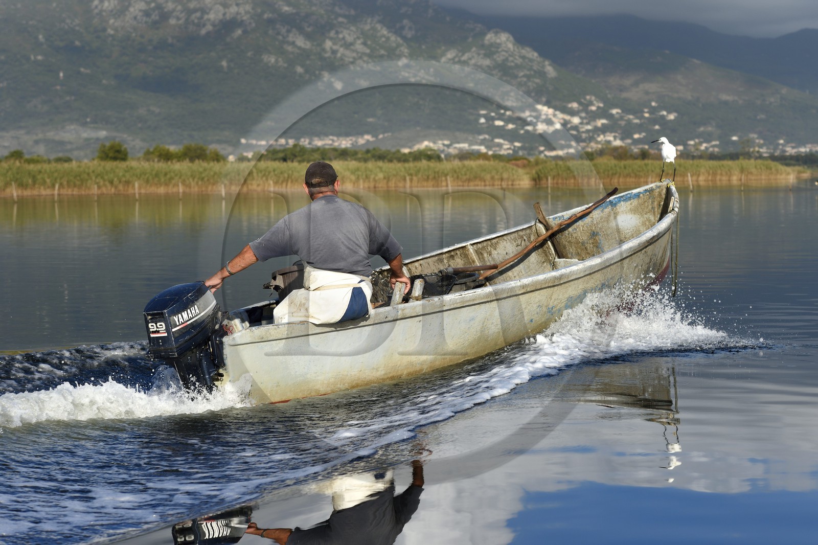 France, Haute-Corse (2B), pecheur en barque sur l'étang de Biguglia (stagnu di Chjurlinu) et Aigrette garzette (Egretta garzetta), réserve naturelle de Corse (RNC)