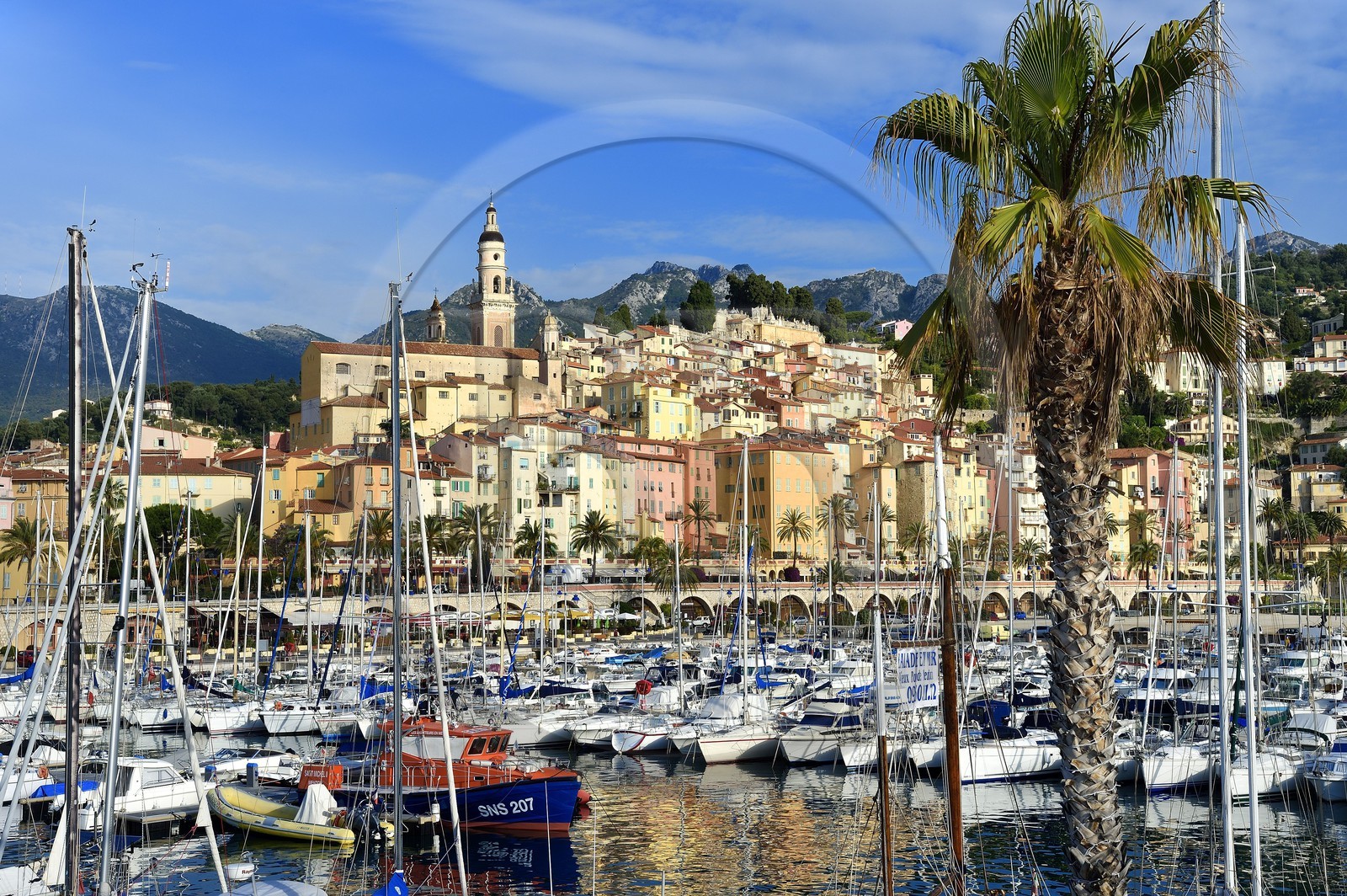 France, Alpes-Maritimes (06), Menton, le port et la vieille ville dominée par la Basilique Saint Michel