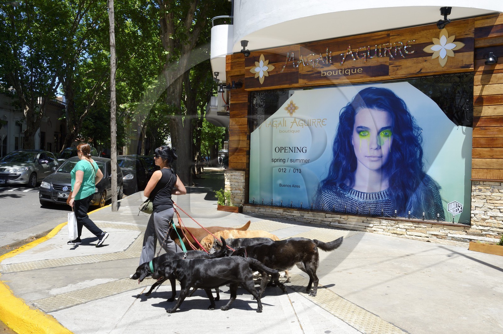 Argentine, Buenos Aires, quartier Palermo, promeneuse de chien
