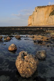 France, Seine-Maritime (76), Côte d'Albâtre, Vattetot-sur-Mer, les falaises et la plage à marée basse