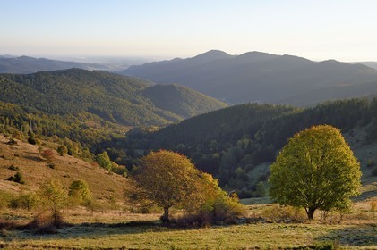 France, Haut Rhin, Wasserbourg, massif of the Vosges bordering the plain of Alsace (in the background) from the Petit Ballon mountain