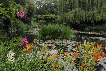 France, Eure (27), Giverny, le jardin de Claude Monet, le Jardin d'Eau