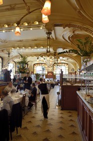 France, Meurthe-et-Moselle (54), Nancy, brasserie Flo Excelsior de 1910, Art Nouveau