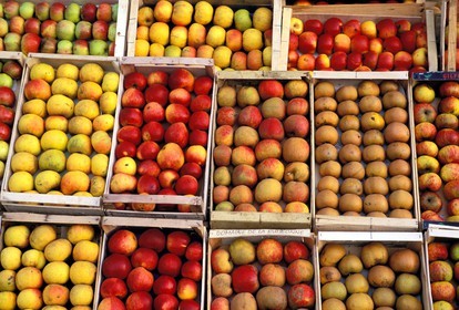 France, Eure, Marais Vernier (Vernier marsh), SaintOpportune la Mare, apple house