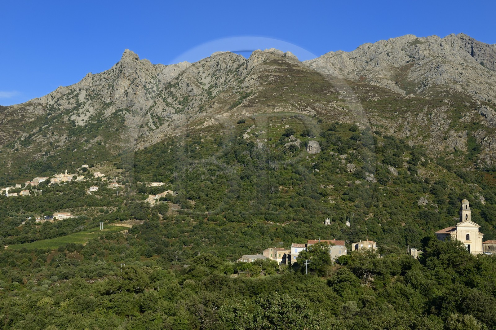 France, Haute-Corse (2B), Balagne, église de Feliceto et village perché de Nessa en arrière plan