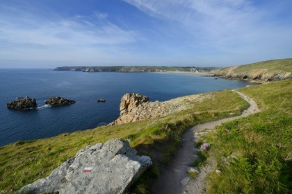 France, Finistère (29), Mer d'Iroise, Plogoff, la Baie des Trépassés entre la Pointe du Raz et la Pointe du Van en arrière plan, sentier du GR 34