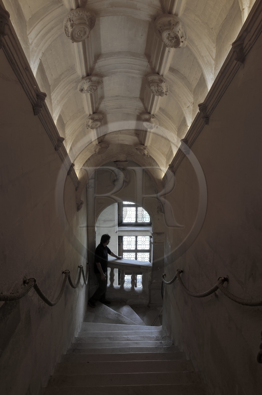 France, Indre-et-Loire (37), château de Chenonceau édifié de 1513 à 1521 de style Renaissance, l'escalier droit