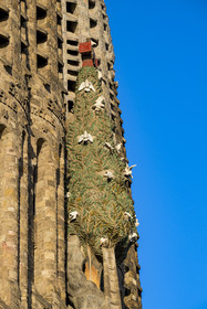 Spain, Catalonia, Barcelona, Eixample district, Sagrada Familia basilica by Catalan modernist architect Antoni Gaudi, listed as a UNESCO World Heritage Site, facade of the Nativity and the cypress symbolizing the Tree of Life