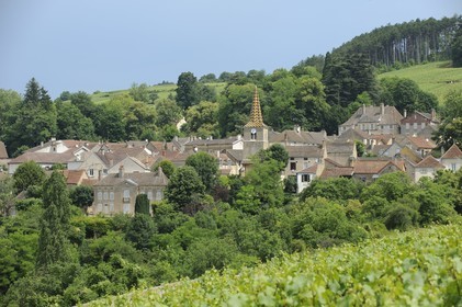France, Côte d'Or (21), le village de Pernand-Vergeles