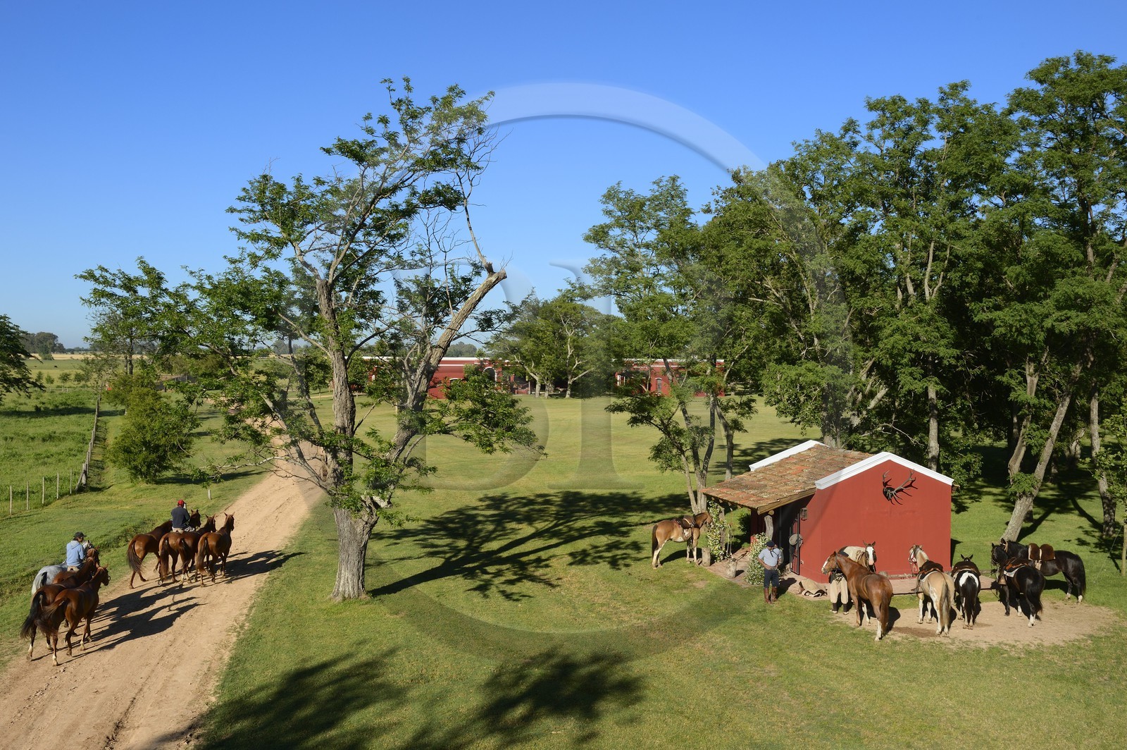Argentine, province de Buenos Aires, San Antonio de Areco, estancia La Bamba de Areco, retour à l'étable des chevaux utilisés pour le polo et gauchos se préparant au départ à droite