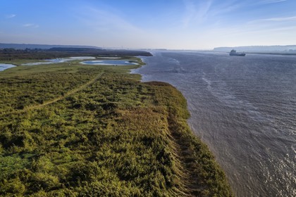 France, Seine Maritime, Natural Reserve of the Seine estuary, cargo ship going down the Seine from Rouen, the reed bed in the foreground and the Tancarville bridge in the background (aerial view)