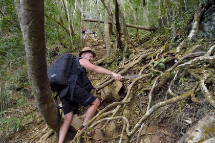 France, Mayotte island (French overseas department), Grande-Terre, Southern Crete Forest Reserve (Reserve Forestiere des Cretes du Sud) hikers climing at the summit of Mount Choungui (594 meters)