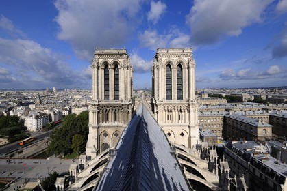 France, Paris (75), île de la Cité, la cathédrale Notre-Dame