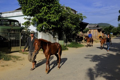 Vietnam, province de Lao Cai,Bac Ha, cavaliers et leurs chevaux