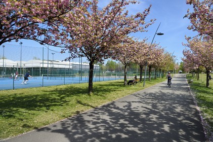 France, Val de Marne, Champigny sur Marne, parc du Tremblay, tennis court