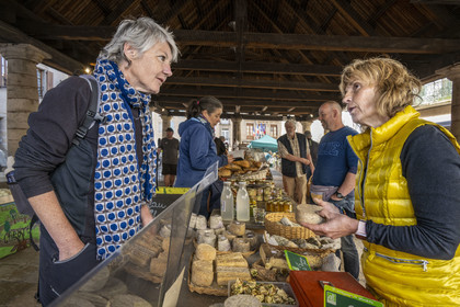France, Lozere, Langogne, the market under the Halle aux grains, organic farmhouse cheeses made with raw milk Lou Prat d'Estébé by Cathy and Michel Dupire
