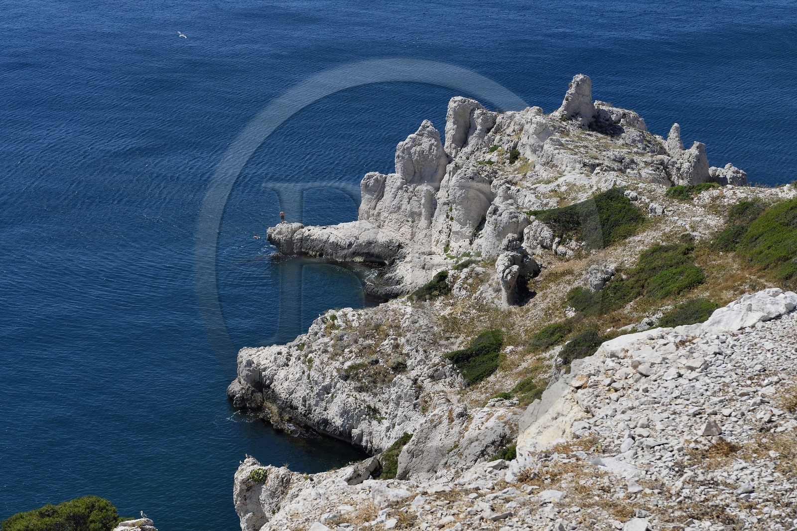 France, Bouches-du-Rhône (13), Marseille, Parc National des Calanques, Archipel des Iles du Frioul, Ile de Pomègues