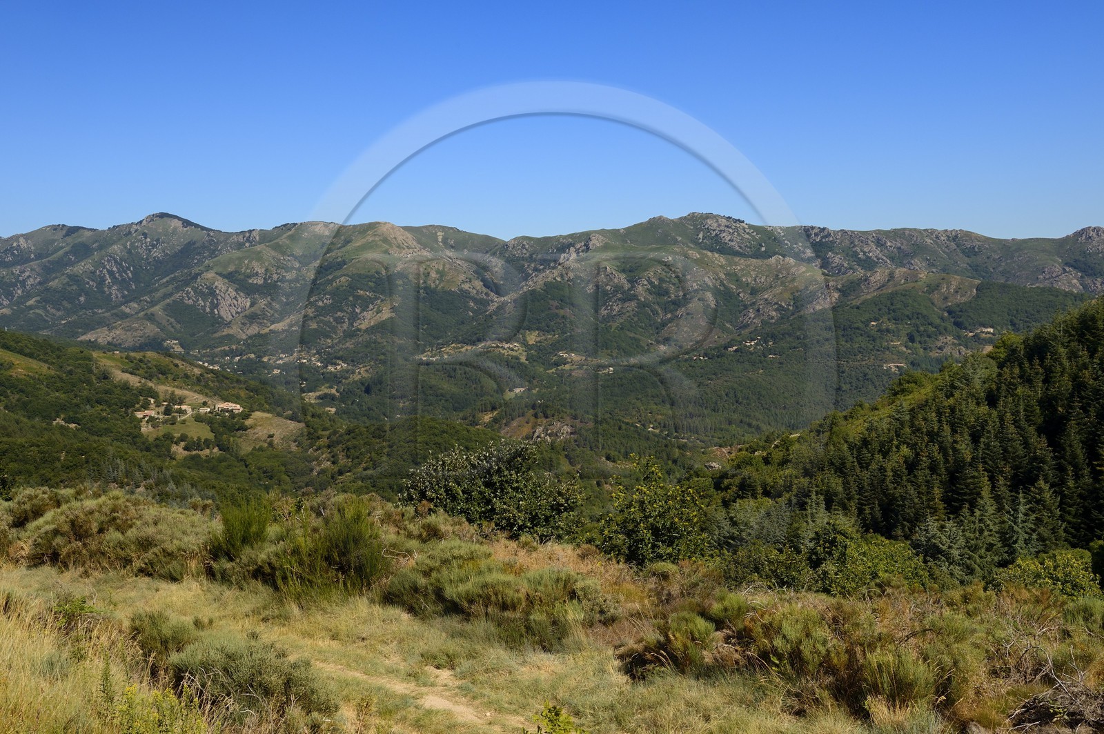France, Ardèche (07), la Cévenne ardéchoise au sud de Jaujac