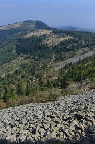 France, Loire (42), Parc Naturel Régional du Pilat, chirat (nom local donné aux coulées de blocs rocheux qui recouvrent les versants sous formes d'éboulis) au Crêt de l'Oeillon dans le massif du Pilat