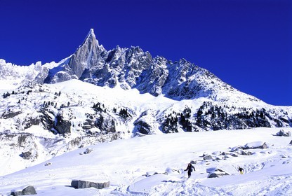 France, Haute-Savoie (74), vallée de Chamonix, skieur sur la Mer de glace aux pied de l'Aiguille verte dans la Vallée Blanche, Mont-Blanc