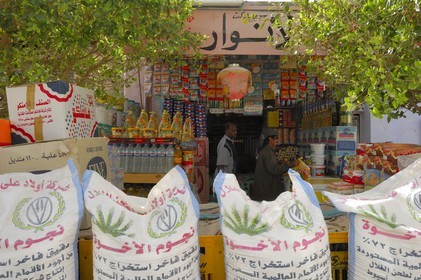 Egypt, Libyan desert, town of Paris (Baris) south of Kharga, grocery
