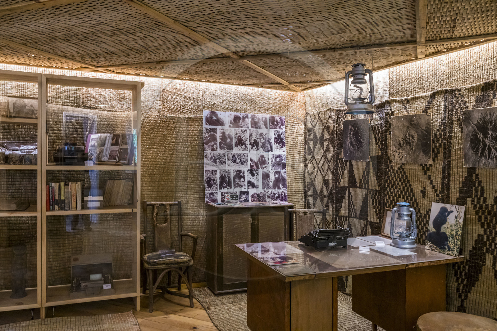 Rwanda, Province du Nord, District de Musanze (Ruhengeri), Kinigi, Campus Ellen DeGeneres du Dian Fossey Gorilla Fund, le Cindy Broder Conservation Gallery avec une exposition éducative immersive, reconstitution de la cabane de Dian Fossey à Karisoke